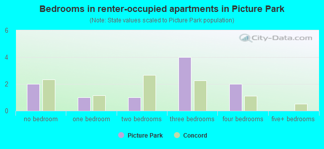 Bedrooms in renter-occupied apartments in Picture Park