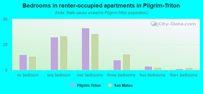Bedrooms in renter-occupied apartments in Pilgrim-Triton