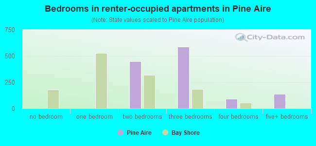 Bedrooms in renter-occupied apartments in Pine Aire