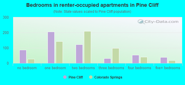 Bedrooms in renter-occupied apartments in Pine Cliff
