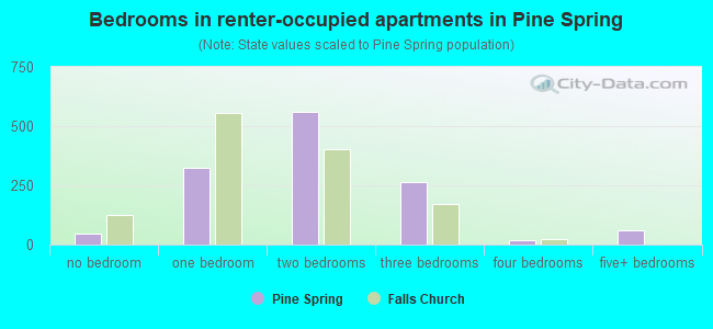 Bedrooms in renter-occupied apartments in Pine Spring