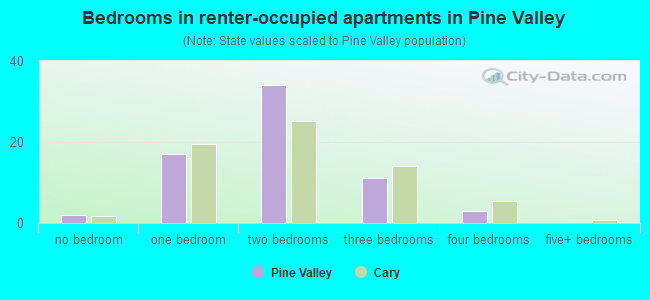 Bedrooms in renter-occupied apartments in Pine Valley