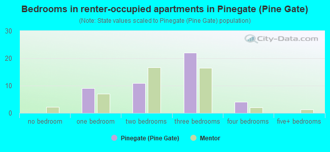 Bedrooms in renter-occupied apartments in Pinegate (Pine Gate)