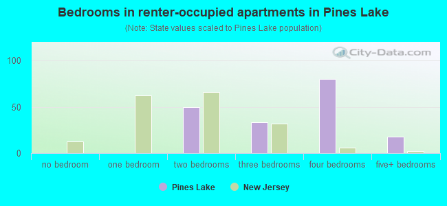Bedrooms in renter-occupied apartments in Pines Lake