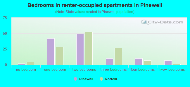 Bedrooms in renter-occupied apartments in Pinewell