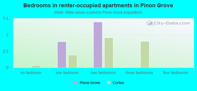Bedrooms in renter-occupied apartments in Pinon Grove