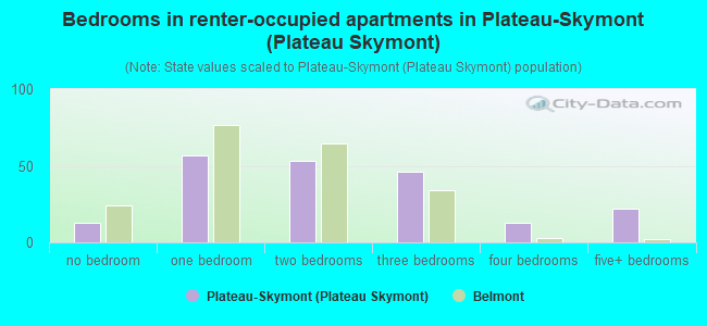 Bedrooms in renter-occupied apartments in Plateau-Skymont (Plateau Skymont)