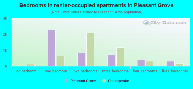 Bedrooms in renter-occupied apartments in Pleasant Grove