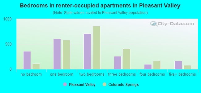 Bedrooms in renter-occupied apartments in Pleasant Valley