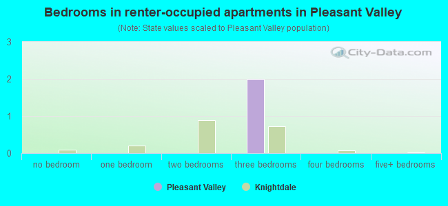 Bedrooms in renter-occupied apartments in Pleasant Valley