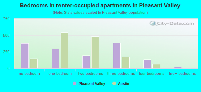 Bedrooms in renter-occupied apartments in Pleasant Valley