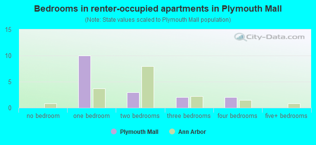 Bedrooms in renter-occupied apartments in Plymouth Mall