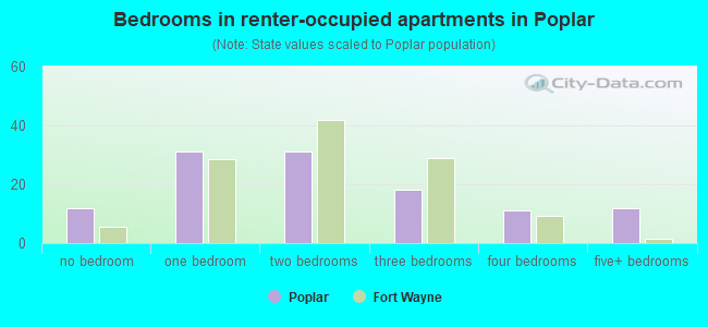 Bedrooms in renter-occupied apartments in Poplar