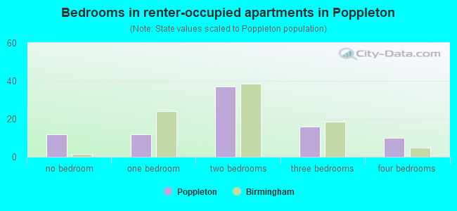 Bedrooms in renter-occupied apartments in Poppleton