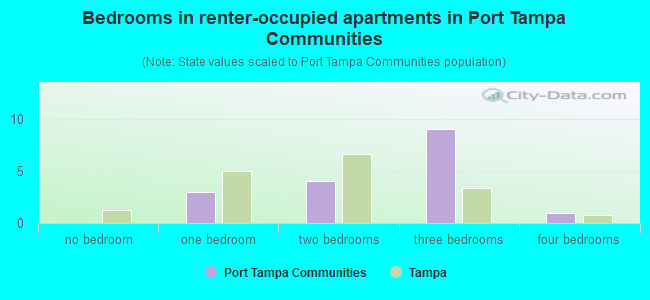 Bedrooms in renter-occupied apartments in Port Tampa Communities