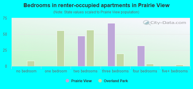 Bedrooms in renter-occupied apartments in Prairie View