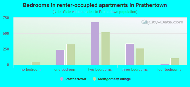 Bedrooms in renter-occupied apartments in Prathertown