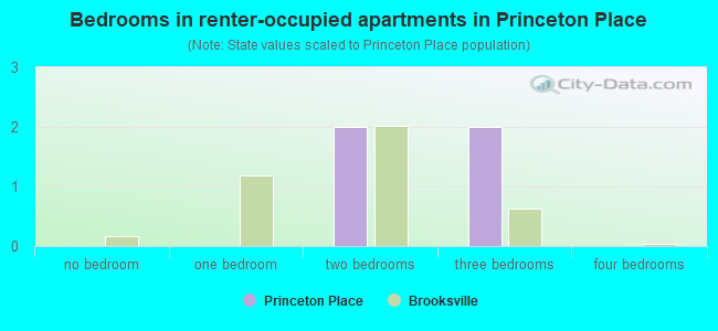 Bedrooms in renter-occupied apartments in Princeton Place