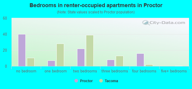 Bedrooms in renter-occupied apartments in Proctor