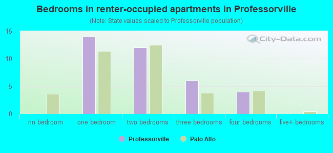 Bedrooms in renter-occupied apartments in Professorville