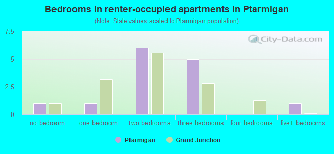 Bedrooms in renter-occupied apartments in Ptarmigan
