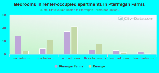 Bedrooms in renter-occupied apartments in Ptarmigan Farms