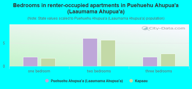 Bedrooms in renter-occupied apartments in Puehuehu Ahupua`a (Laaumama Ahupua`a)