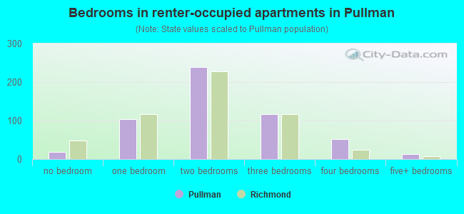 Bedrooms in renter-occupied apartments in Pullman