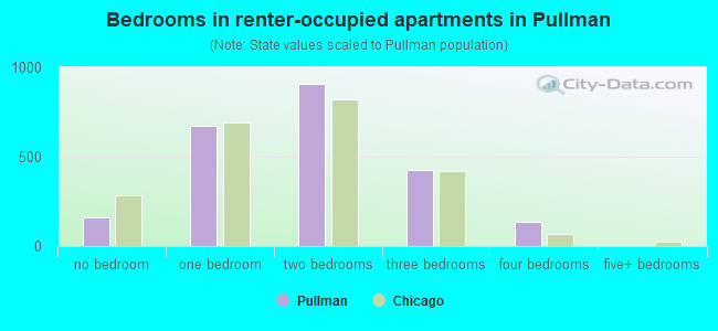 Bedrooms in renter-occupied apartments in Pullman