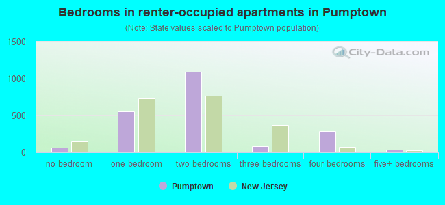 Bedrooms in renter-occupied apartments in Pumptown