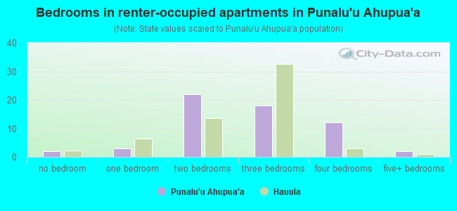 Bedrooms in renter-occupied apartments in Punalu`u Ahupua`a