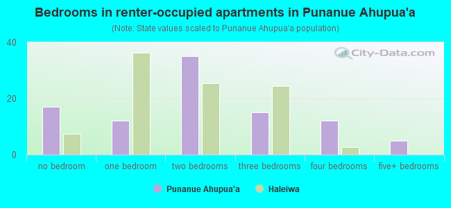 Bedrooms in renter-occupied apartments in Punanue Ahupua`a