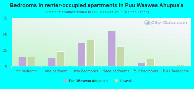 Bedrooms in renter-occupied apartments in Puu Waawaa Ahupua`a