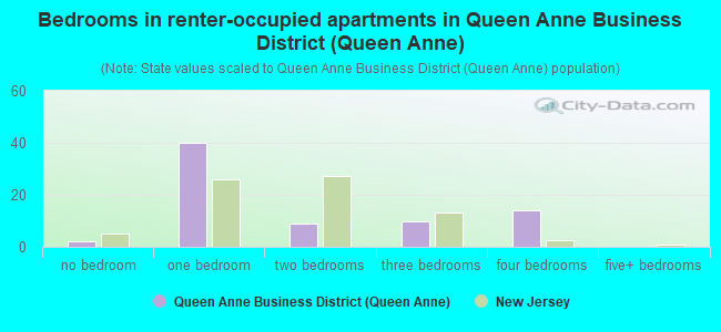 Bedrooms in renter-occupied apartments in Queen Anne Business District (Queen Anne)
