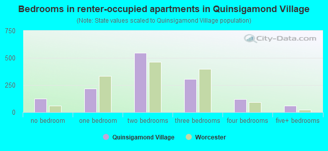 Bedrooms in renter-occupied apartments in Quinsigamond Village