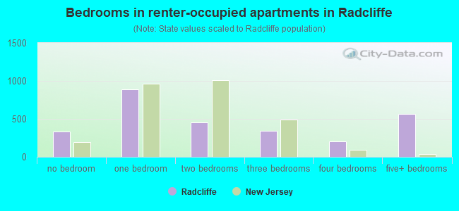 Bedrooms in renter-occupied apartments in Radcliffe