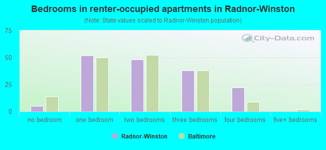 Bedrooms in renter-occupied apartments in Radnor-Winston