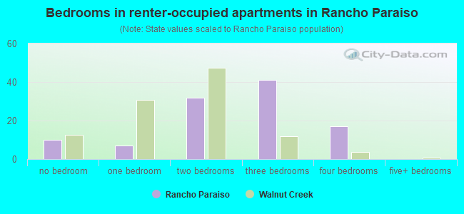 Bedrooms in renter-occupied apartments in Rancho Paraiso