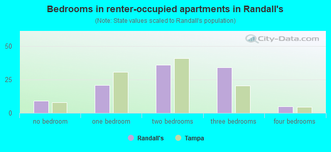 Bedrooms in renter-occupied apartments in Randall's