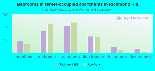 Bedrooms in renter-occupied apartments in Richmond Hill