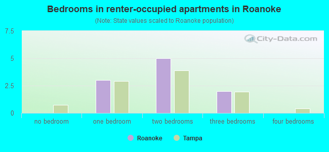 Bedrooms in renter-occupied apartments in Roanoke