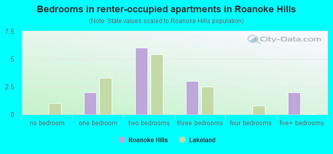 Bedrooms in renter-occupied apartments in Roanoke Hills