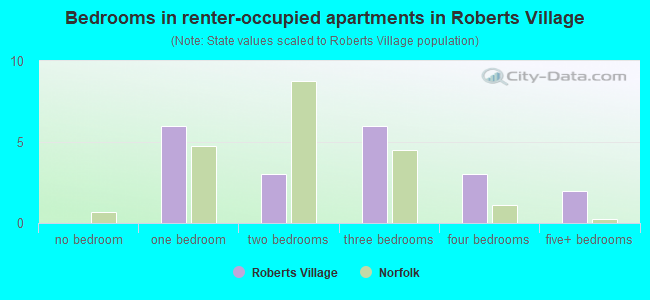 Bedrooms in renter-occupied apartments in Roberts Village