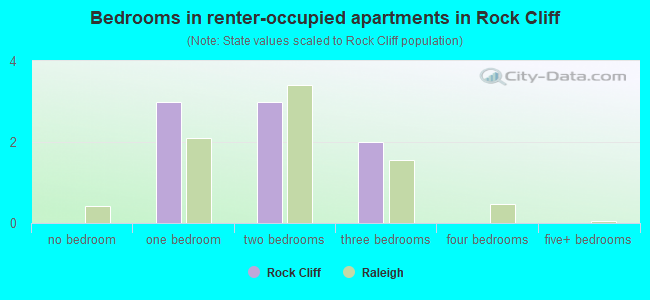 Bedrooms in renter-occupied apartments in Rock Cliff
