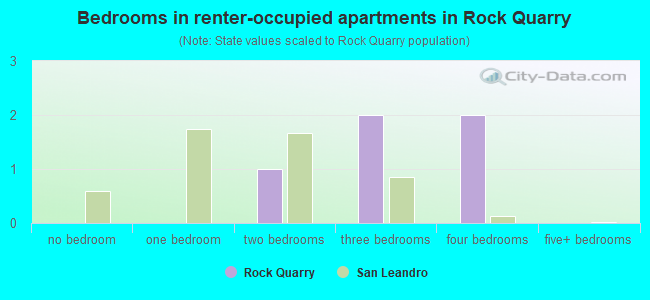 Bedrooms in renter-occupied apartments in Rock Quarry