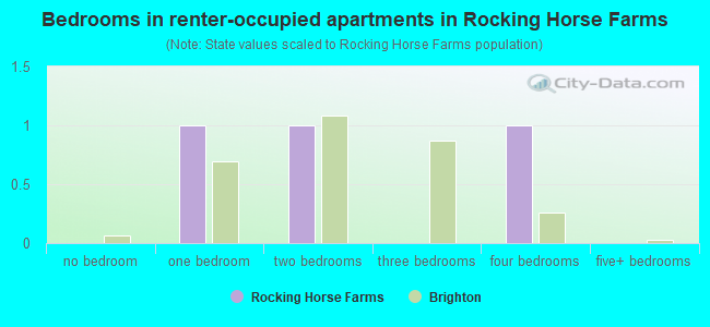 Bedrooms in renter-occupied apartments in Rocking Horse Farms