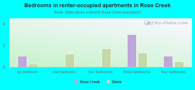 Bedrooms in renter-occupied apartments in Rose Creek