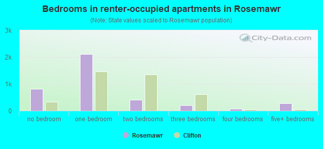Bedrooms in renter-occupied apartments in Rosemawr
