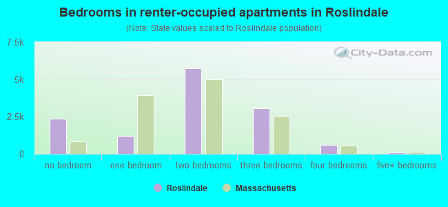 Bedrooms in renter-occupied apartments in Roslindale