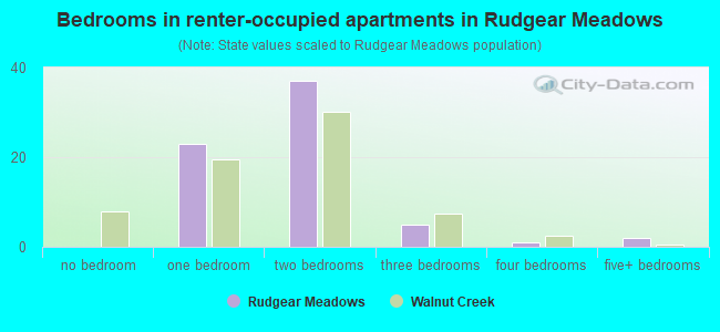 Bedrooms in renter-occupied apartments in Rudgear Meadows